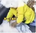 2024年12月10日 (二) 11:33版本的缩略图