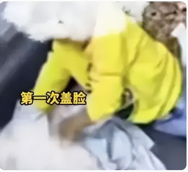 文件:Dcddb8fa0d5367b287b8ece298819035.jpeg